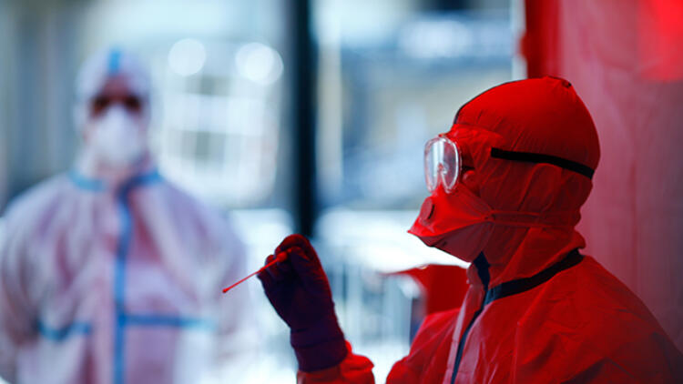 Açıklamada, Afrika domuz vebasının Polonya sınırı yakınlarında Brandenburg eyaletinin Spree-Neisse bölgesinde ölmüş bir yaban domuzunda tespit edildiğini belirtildi.