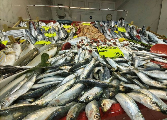 Sardalya 25, mezgit 40, çipura 60, karides 40, mercan 30, istavrit 25, kolyoz 25 liradan satılmaya başlandı.