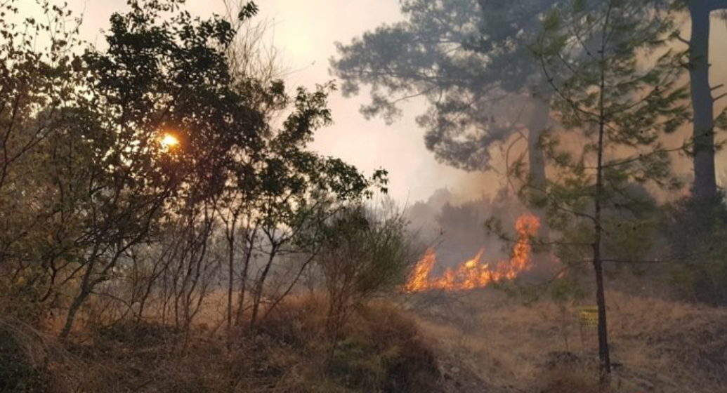 Tarım ve Orman Bakanı Dr. Bekir Pakdemirli, Antalya'nın Kumluca ilçesindeki yangını 2-3 saat içinde kontrol altına almayı hedeflediklerini bildirirken bu seneki orman yangınlarıyla ilgili çarpıcı bir açıklamada bulundu.