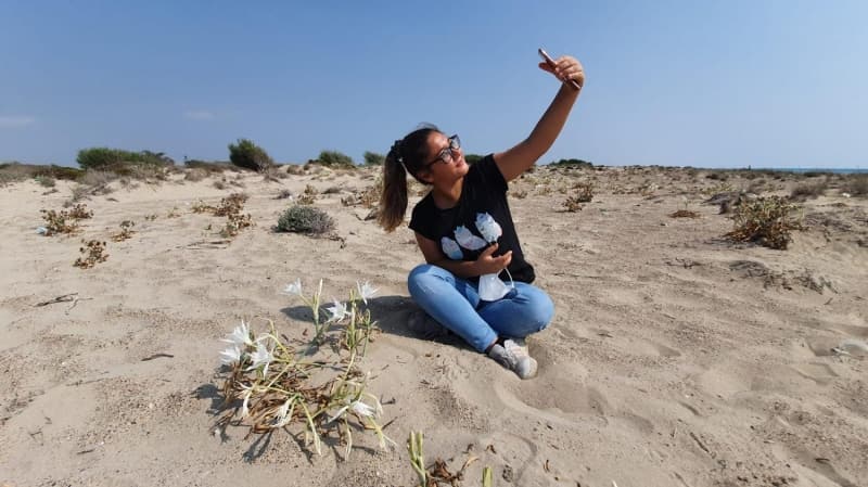 Ancak çiçeklerin çok güzel olması, onları cazip kılıyor.