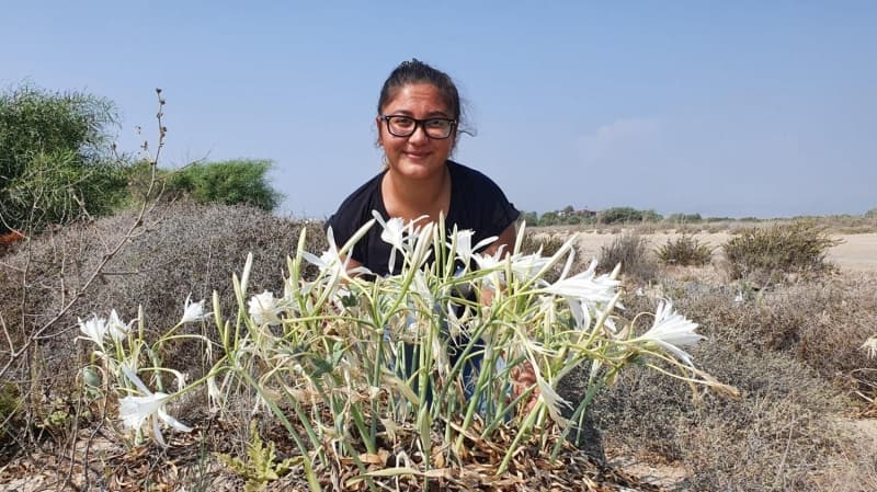 Pek çok vatandaş bu çiçekleri koparıyor.