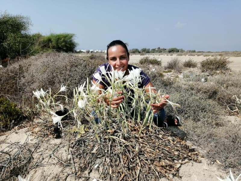 Ayrıca çiçekleri korumak için caydırıcı bir ceza uygulamasına geçildi.