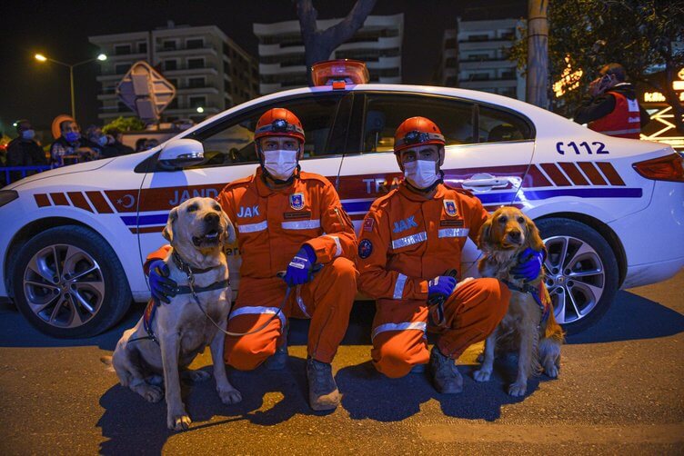 İkisi de köpekler sayesinde...