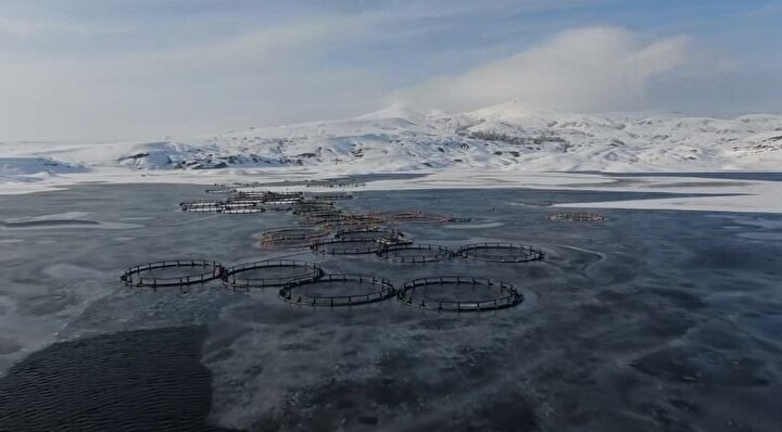 İlçenin yüzölçümü 1.229 km2 ve denizden yüksekliği 1.650 metredir.