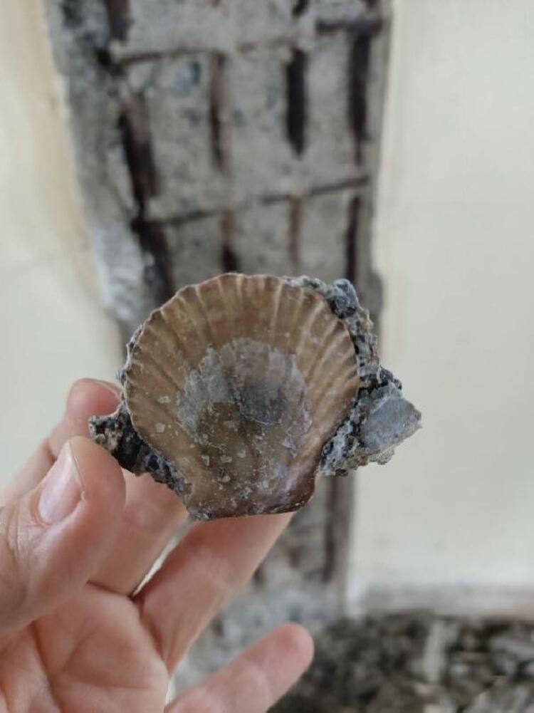 Çalışmalara alanında uzman olan Prof. Dr. Zeynep Ahunbay, Prof. Dr. Feridun Çılı ve Han Tümertekin danışman olarak destek veriyor.