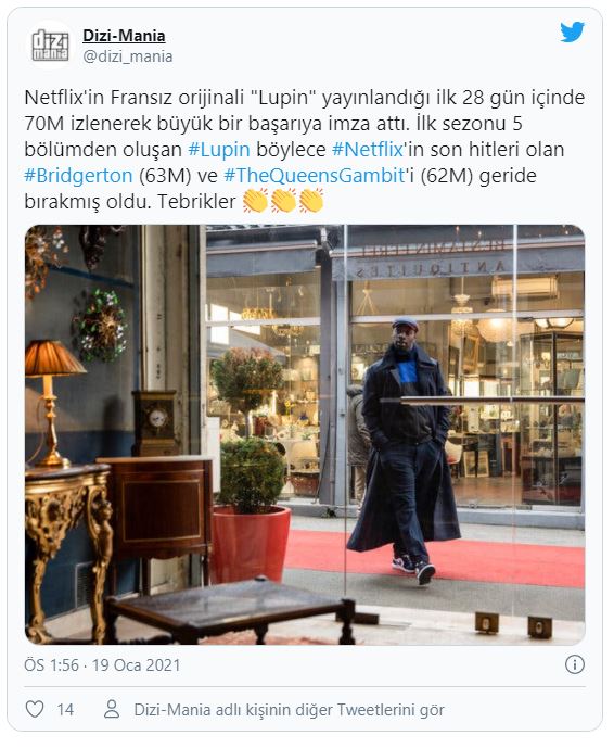 Lupin Dizi