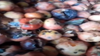 TikTok'ta bir üreticinin çürük meyvelerden meyve suyu yaptığı iddia edildi