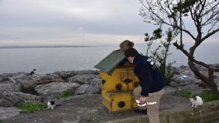 Tuzla'da sokağa çıkma kısıtlamasında sokak hayvanları unutulmadı