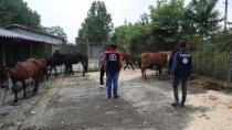 10 at kesilmekten kurtarıldı