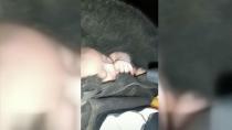 Elbistan'da 2 aylık bebek enkazdan elini emerek çıktı