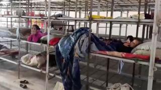 Refah'taki göçmen çocuklar tavuk kafeslerinde uyuyor