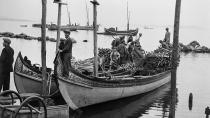 Ara Güler Müzesi'nde ''Kumkapı Balıkçıları'' sergisi